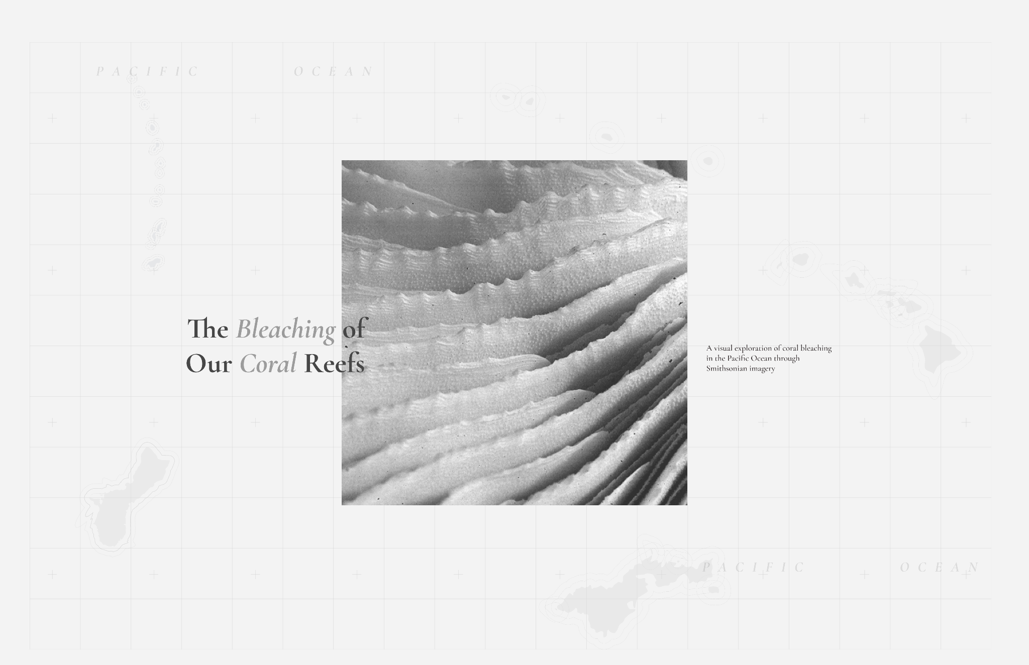 The Bleaching of Our Coral Reefs