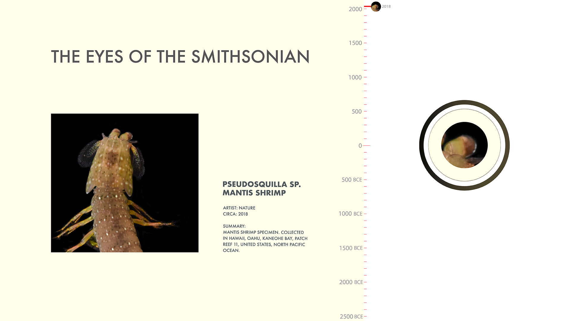 The Eyes of The Smithsonian