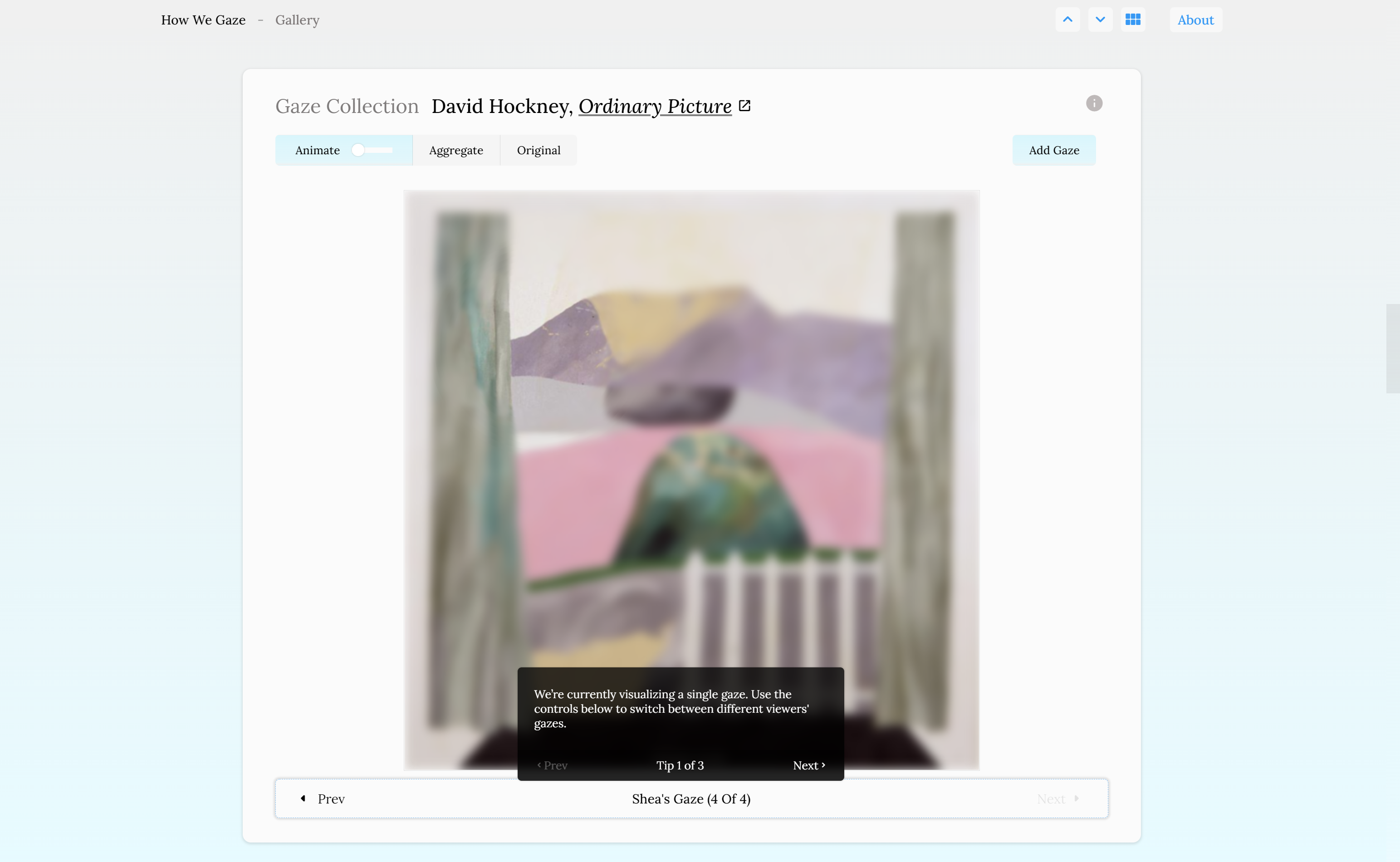 Project Title: How We Gaze