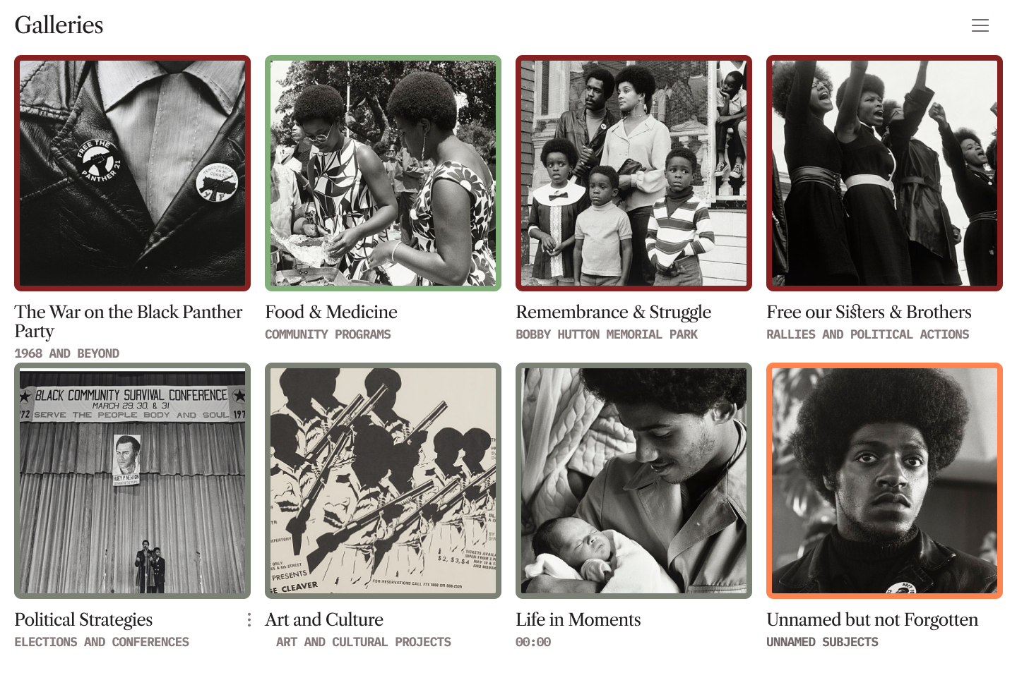 The Black Panther Party and the Post-Civil-Rights Era