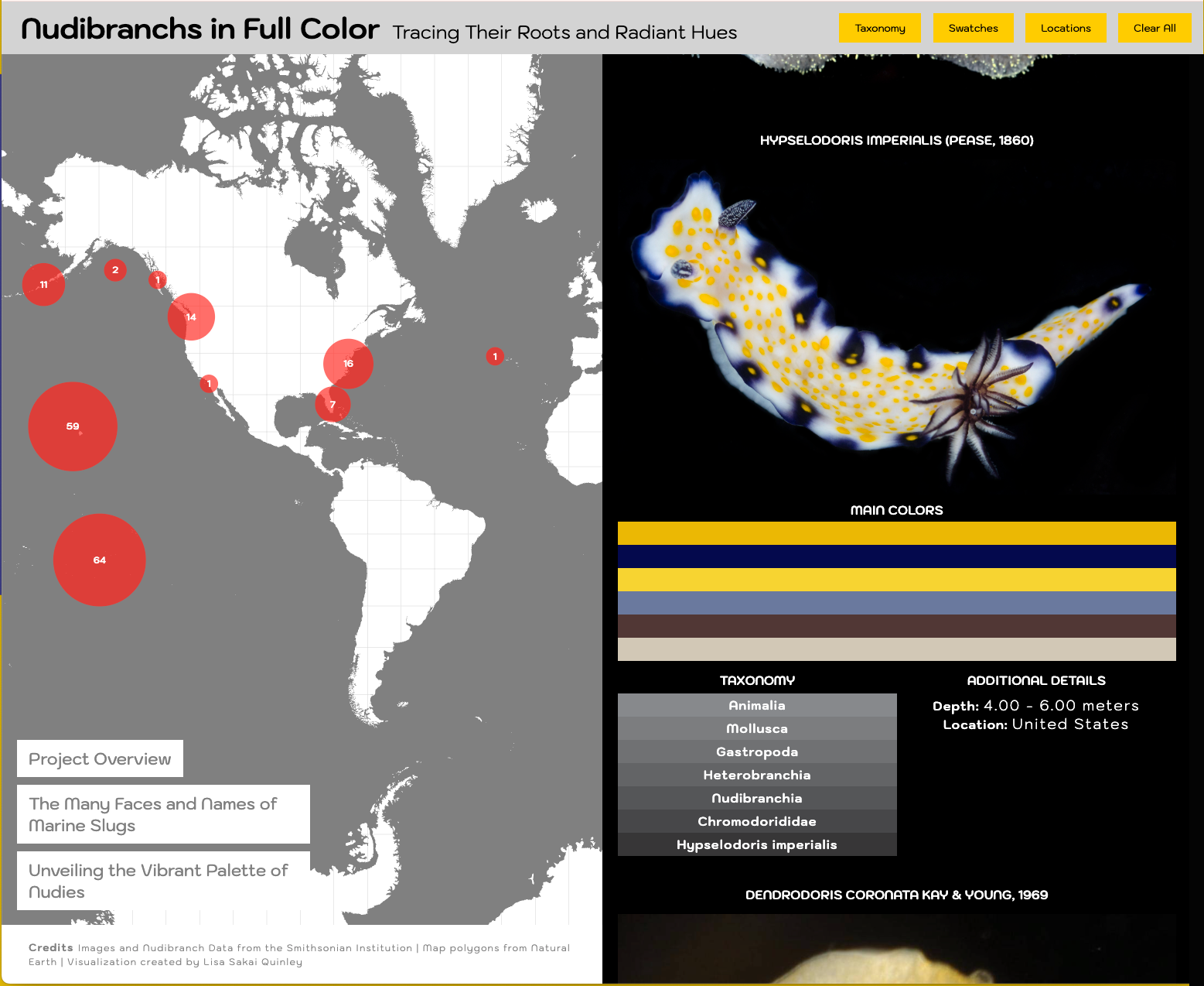 Nudibranchs in Full Color: Tracing Their Roots and Radiant Hues