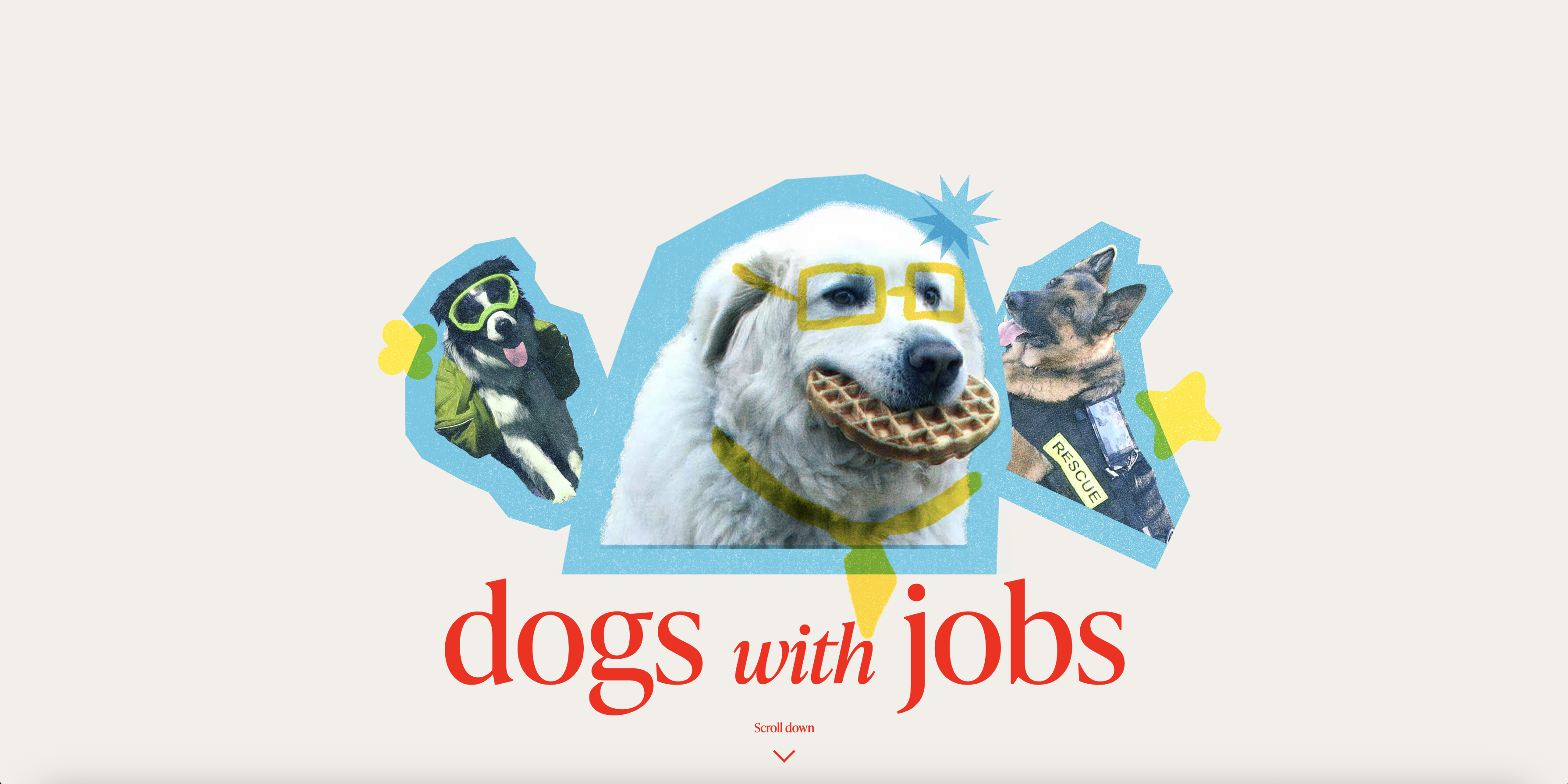 Dogs with Jobs